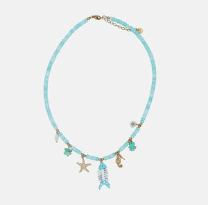 Collar raspa